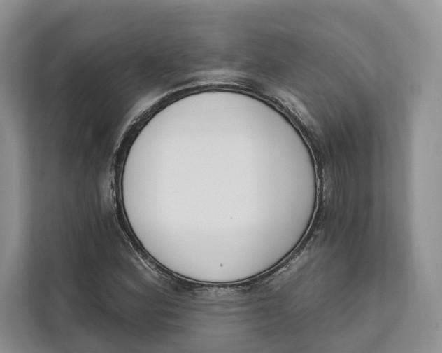 X0000111611164200908071325