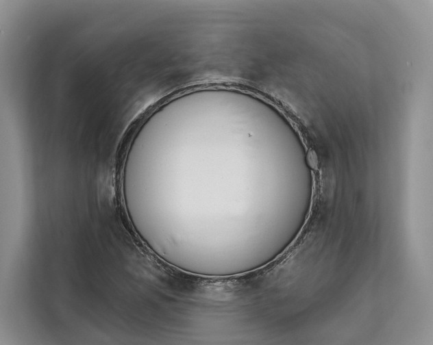 X0000111611165200908071325