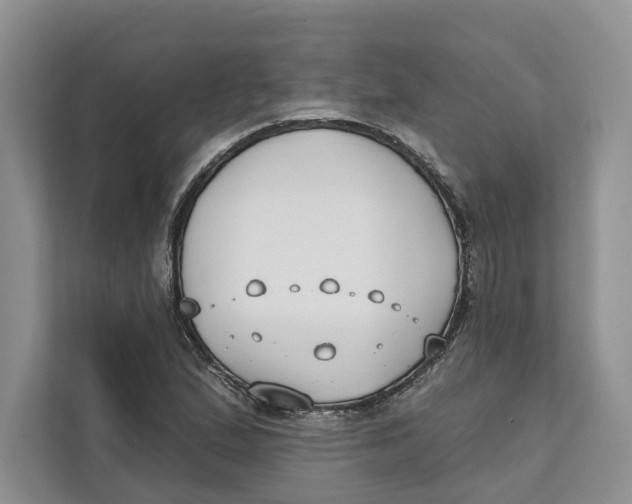 X0000111611167200908071325