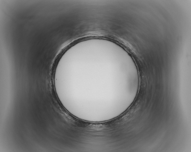 X0000111611168200908071325