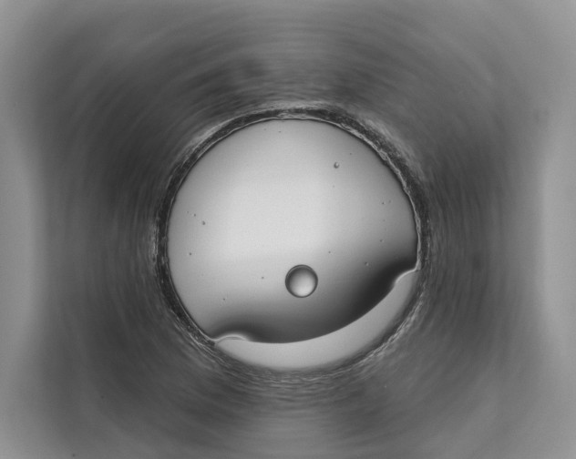 X0000111611169200908071325