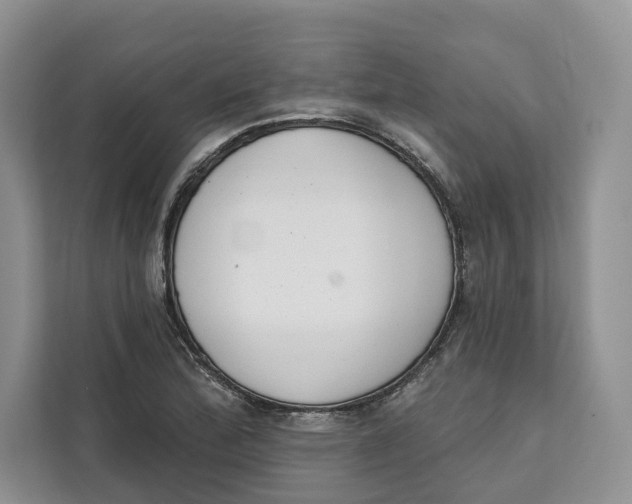 X0000111611172200908071325