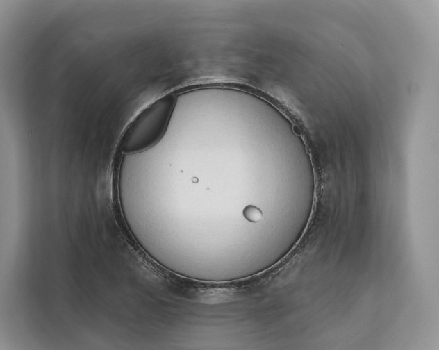 X0000111611173200908071325