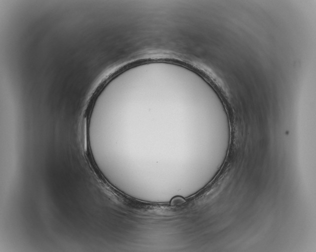 X0000111611175200908071325