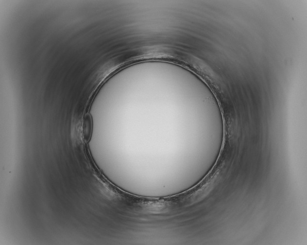 X0000111611177200908071325