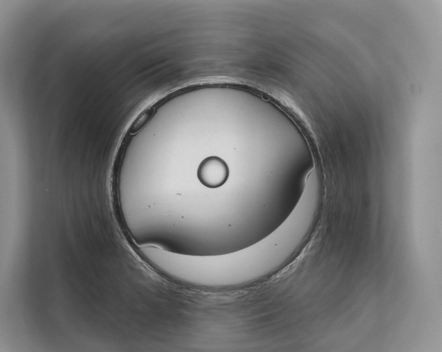 X0000111611181200908071325