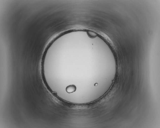 X0000111611183200908071325