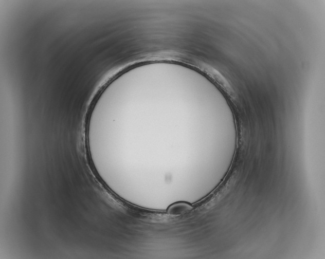 X0000111611184200908071325