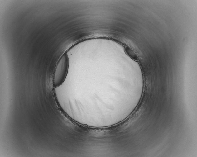 X0000111611185200908071324