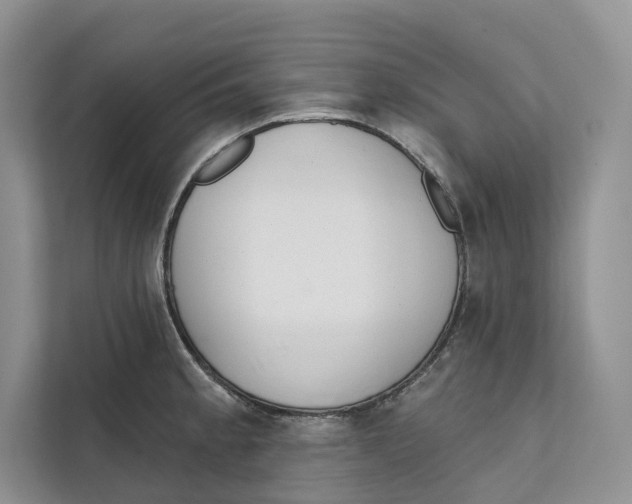 X0000111611189200908071324