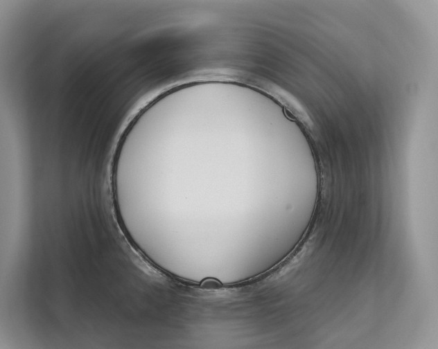 X0000111611192200908071324