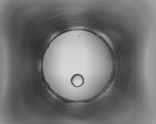 X0000111611193200908071324