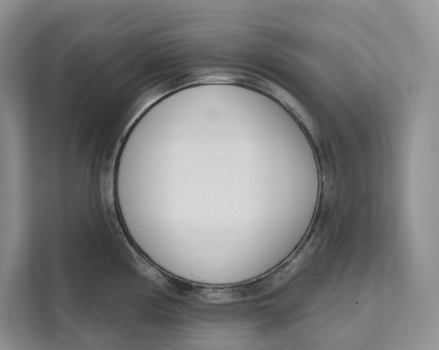 X0000111611194200908071324