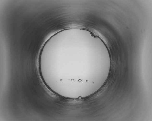 X0000111611195200908071324