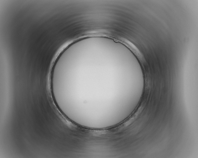 X0000111611196200908071324