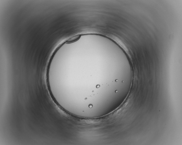 X0000111611197200908071324