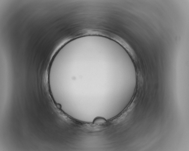 X0000111611198200908071324