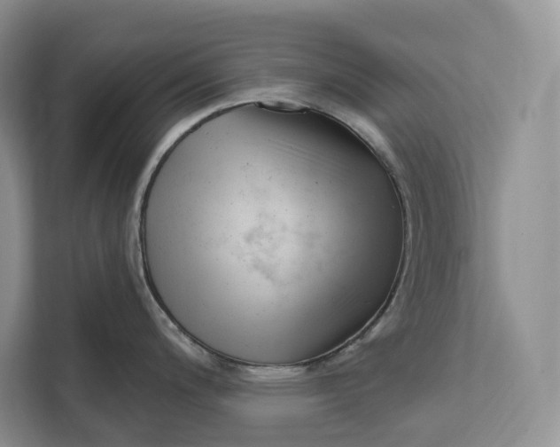 X0000111611200200908071324