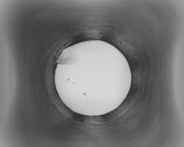 X0000111611201200908071324