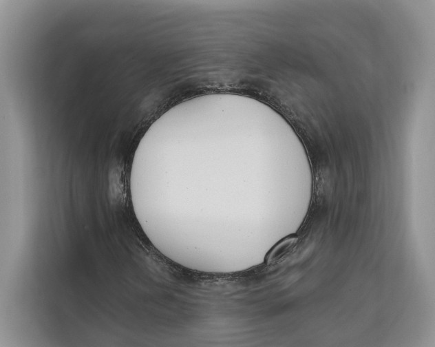 X0000111611202200908071324