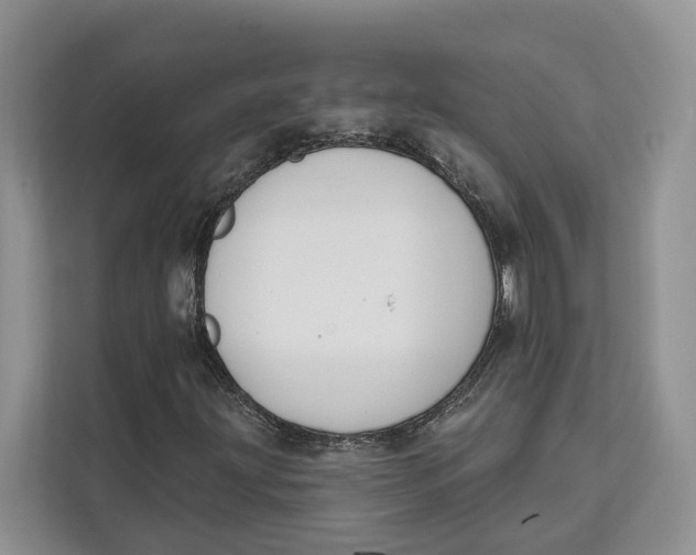 X0000111611203200908071324