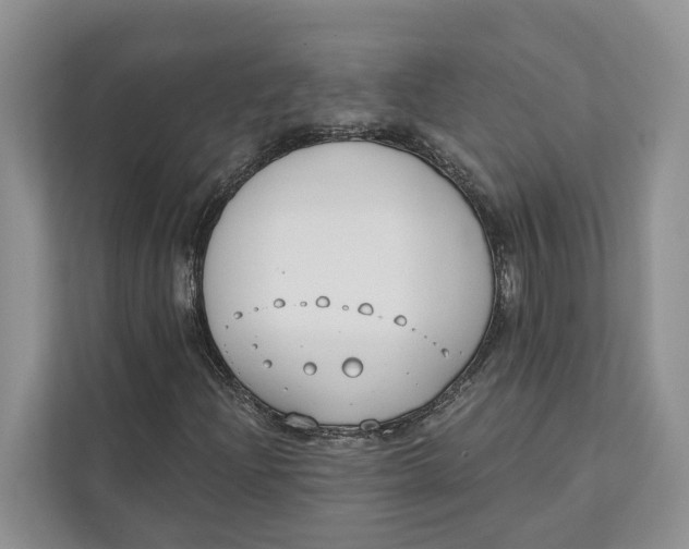 X0000111611204200908071324