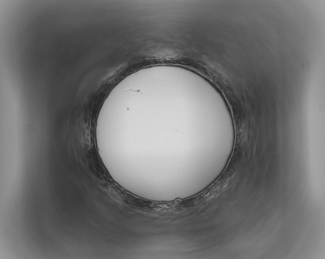 X0000111611205200908071324