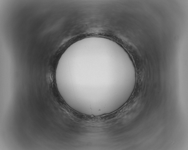 X0000111611206200908071324