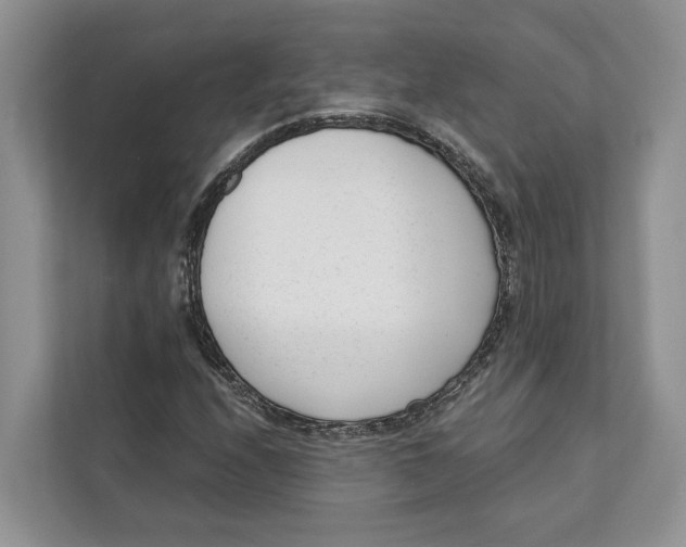 X0000111611208200908071324