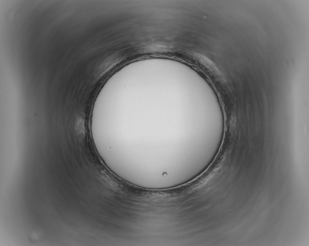 X0000111611209200908071324