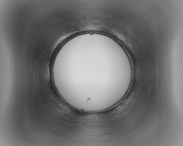 X0000111611214200908071324