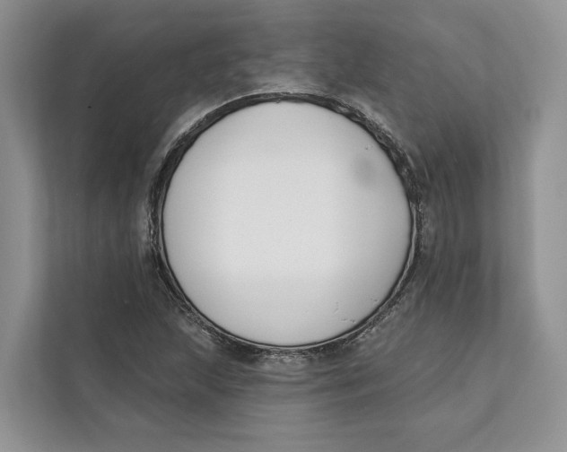 X0000111611215200908071324