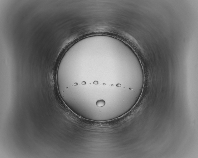 X0000111611218200908071324