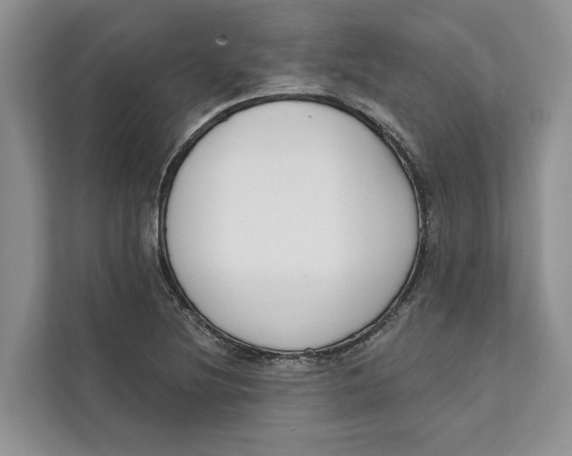 X0000111611220200908071324