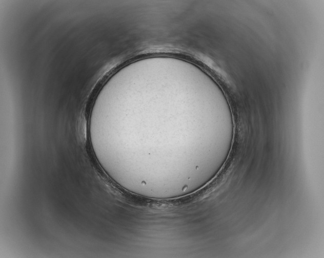 X0000111611221200908071324