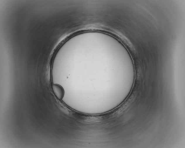 X0000111611224200908071324