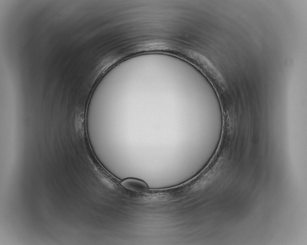 X0000111611225200908071324