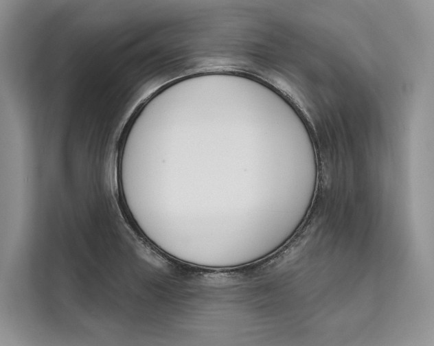 X0000111611227200908071324