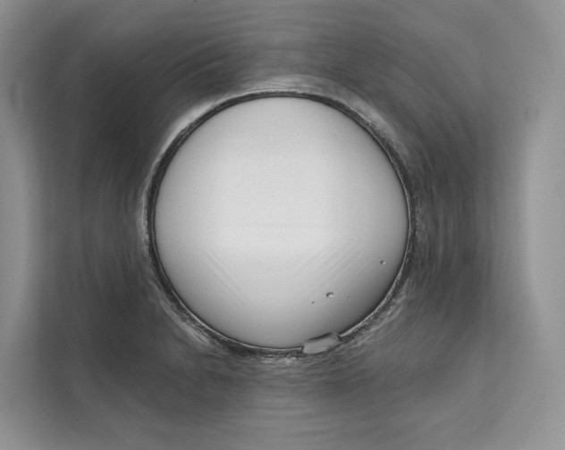 X0000111611230200908071324