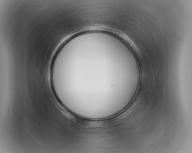 X0000111611232200908071324