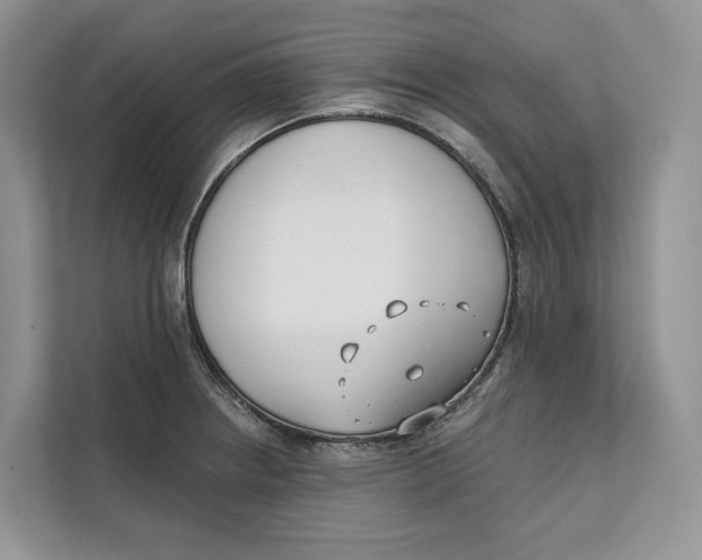 X0000111611234200908071324