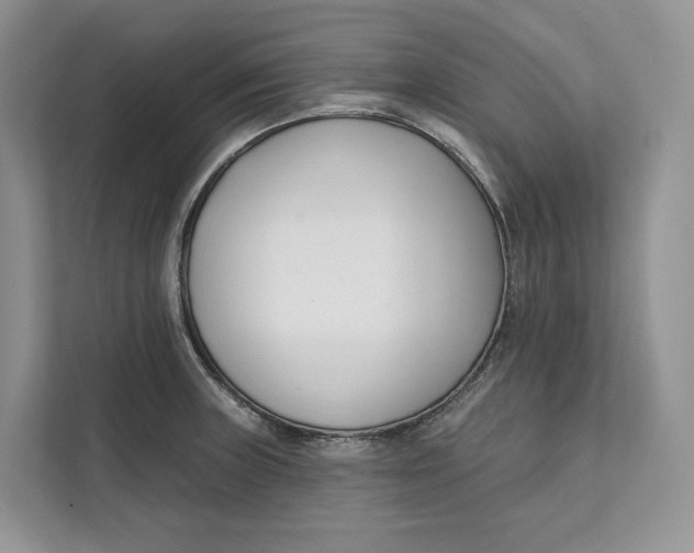 X0000111611235200908071324