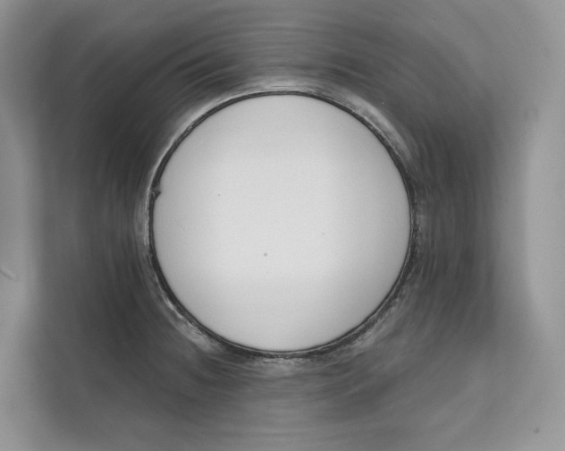 X0000111611236200908071324