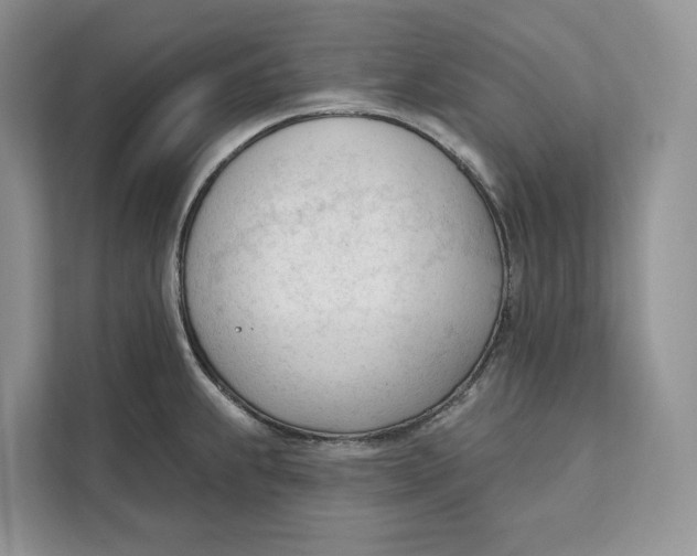 X0000111611239200908071324