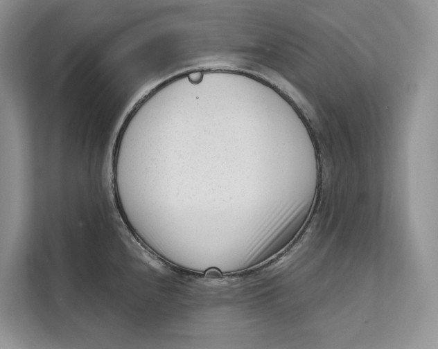 X0000111611240200908071324