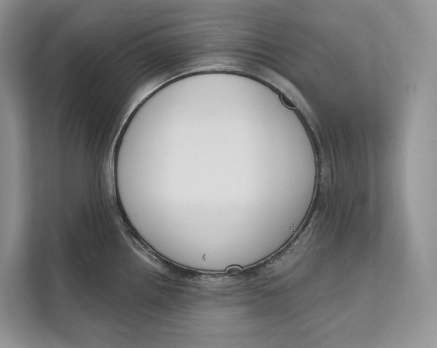 X0000111611242200908071324