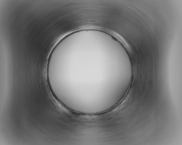 X0000111611244200908071324