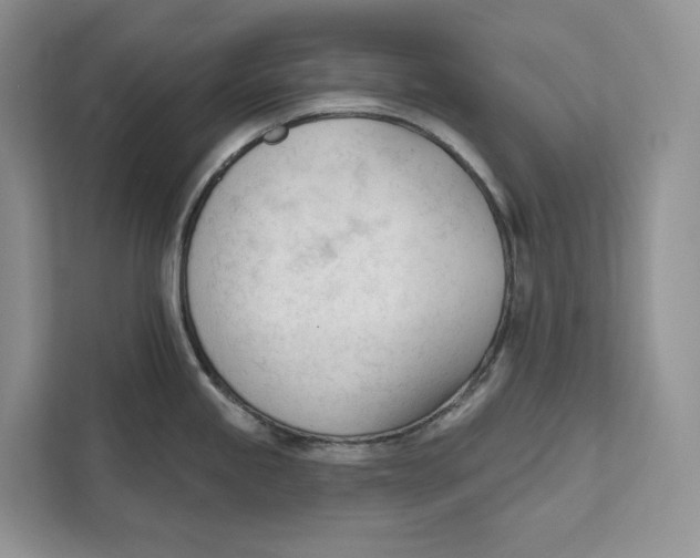 X0000111611245200908071324