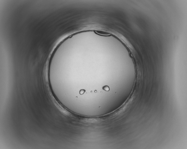 X0000111611246200908071324