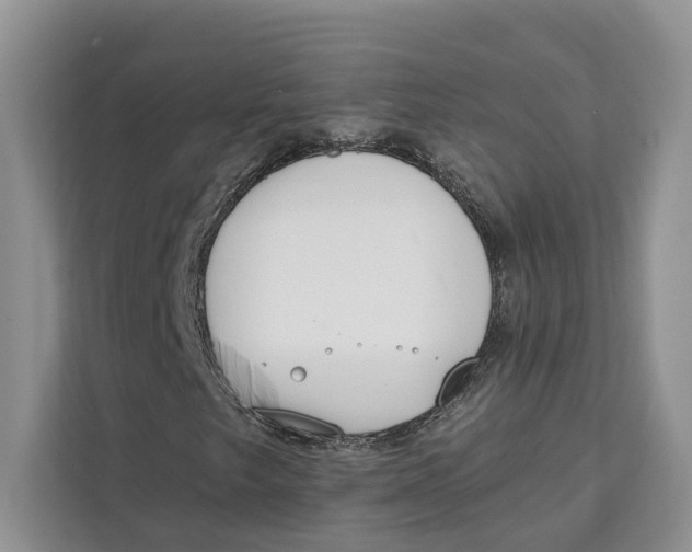 X0000111611249200908071324